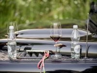 GOTTHARD @ Valu Country House & Garden am 17. Juni 2022